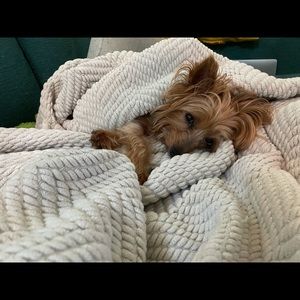 Meet your Posher, Sarah